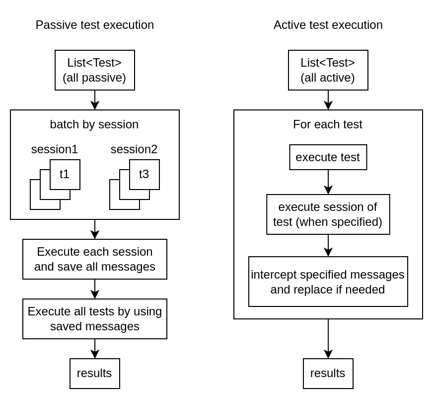 test execution schema